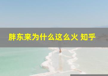 胖东来为什么这么火 知乎